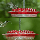 Moriel | Hanging Hummingbird Feeder with 30 Ports and Built-In Ant Guard for Garden and Patio