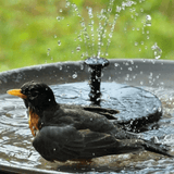 Orvien | Solar Fountain Pump with LED Lights and 4 Spray Modes for Birdbath, Pond and Garden