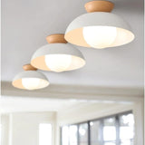 Amoryn | Modern Ceiling Light Fixture for Bedroom Living Room and Hallway