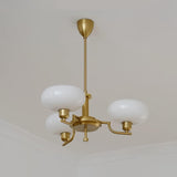 Lioraen | Modern Deco Glass Chandelier in Gold or Chrome Finish for Contemporary Interiors