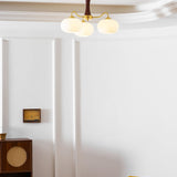 Velmirae | Brass & Wooden Persimmon Chandelier for Elegant Living Rooms