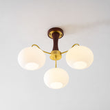 Velmirae | Brass & Wooden Persimmon Chandelier for Elegant Living Rooms