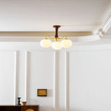 Velmirae | Brass & Wooden Persimmon Chandelier for Elegant Living Rooms