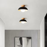 Amoryn | Modern Ceiling Light Fixture for Bedroom Living Room and Hallway