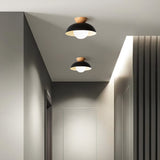 Amoryn | Modern Ceiling Light Fixture for Bedroom Living Room and Hallway