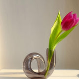 Vexor | Glass Hydroponic Vase Decorative Loop Vase for Flowers Desk Table and Modern Home Decor
