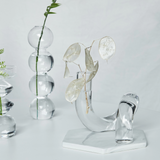 Vexor | Glass Hydroponic Vase Decorative Loop Vase for Flowers Desk Table and Modern Home Decor