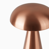 Vessara | Portable Rechargeable LED Table Lamp with Adjustable Light Temperature