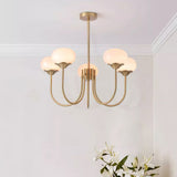 Aurevella | Modern Glam Chandelier with Blush Glass Shades for Dining & Bedroom Spaces