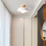 Amoryn | Modern Ceiling Light Fixture for Bedroom Living Room and Hallway