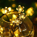 Melique | Solar Flower String Lights with 8 Modes and Multicolour LED for Garden, Patio and Balcony