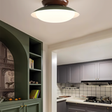 Eliorae | Retro Dome Ceiling Light in Green & Brown for Modern Interiors
