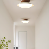 Eliorae | Retro Dome Ceiling Light in Green & Brown for Modern Interiors
