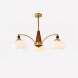 Elanorae | Timeless Wooden & Brass Chandelier with Warm Glass Shades