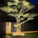 Valeris | LED Tree Uplight with 360° Ground Ring Design and IP65 Rating for Garden and Landscape