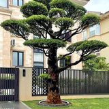 Valeris | LED Tree Uplight with 360° Ground Ring Design and IP65 Rating for Garden and Landscape