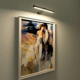 Lovira | Rechargeable LED Picture Light for Wall Art with Remote Control