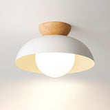 Amoryn | Modern Ceiling Light Fixture for Bedroom Living Room and Hallway