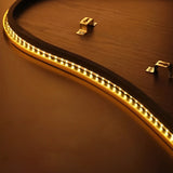 Zyvox | LED Feather Wall Art Light with Engraved Design for Bedroom and Living Room Décor