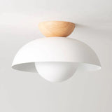 Amoryn | Modern Ceiling Light Fixture for Bedroom Living Room and Hallway