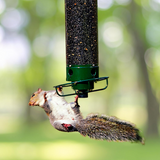 Elvian | Squirrel-Proof Hanging Bird Feeder with Rotating Perch and Large Seed Tube for Garden Use