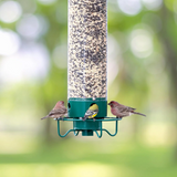 Elvian | Squirrel-Proof Hanging Bird Feeder with Rotating Perch and Large Seed Tube for Garden Use