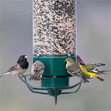 Elvian | Squirrel-Proof Hanging Bird Feeder with Rotating Perch and Large Seed Tube for Garden Use