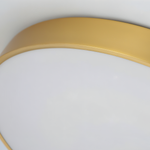 Marden ceiling light photo 11