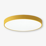 Marden ceiling light photo 14