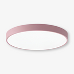 Marden ceiling light photo 15