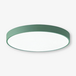Marden ceiling light photo 17