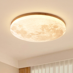Modern Moon Ceiling Lamp 1