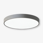 Marden ceiling light photo 20