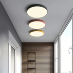 Marden ceiling light photo 2