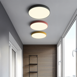 Marden ceiling light photo 2