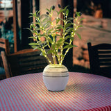 LED Olive Branch Decorative Light 2