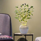 LED Olive Branch Decorative Light 3