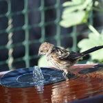 Solar Garden Fountain Pump for Ponds 3