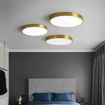 Marden ceiling light photo 4