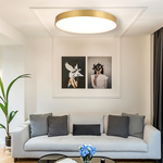 Marden ceiling light photo 5