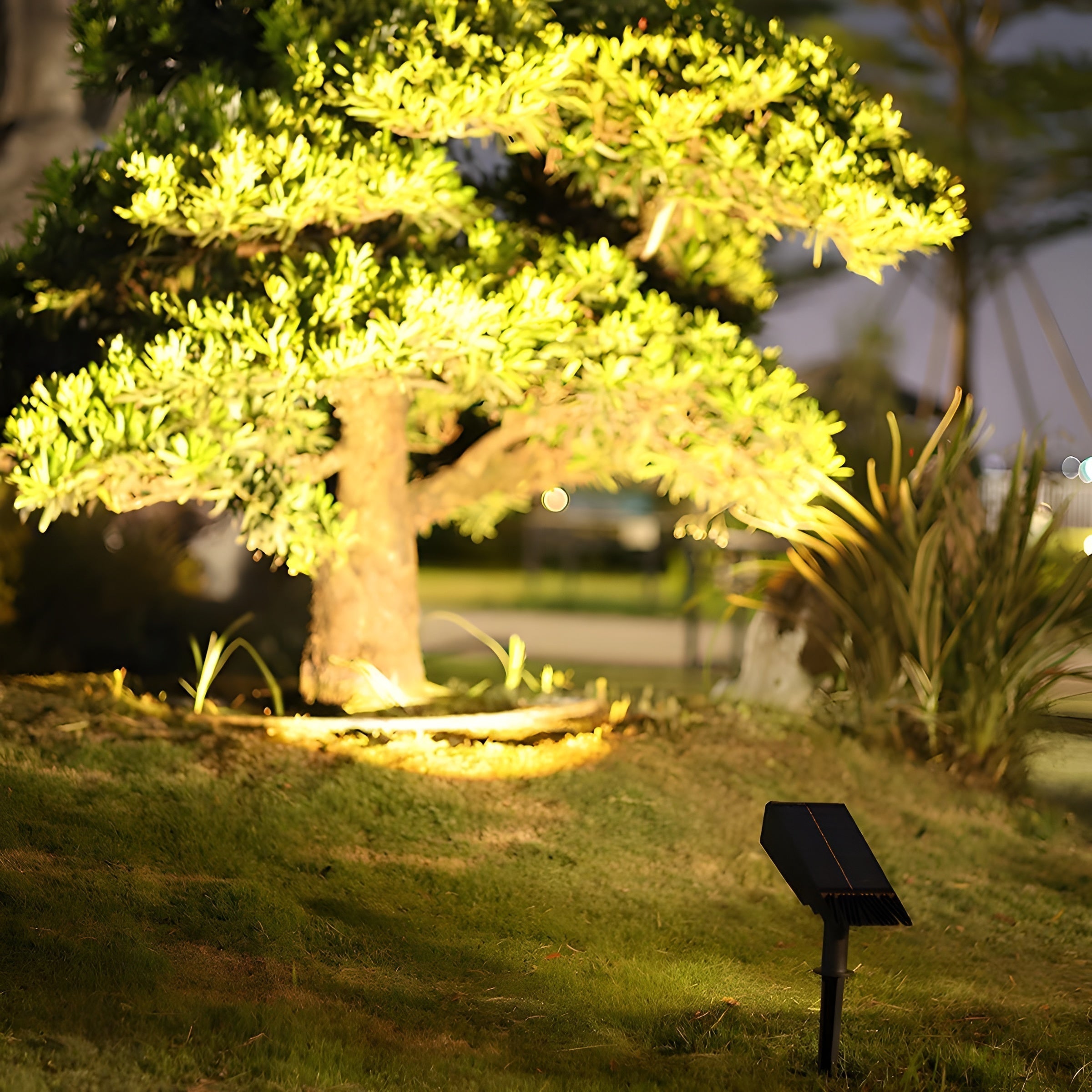 Solar LED Spot Light for Outdoor Landscape 5