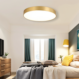 Marden ceiling light photo 6