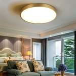Marden ceiling light photo 7