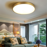 Marden ceiling light photo 7