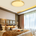 Marden ceiling light photo 8