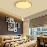Marden ceiling light photo 9