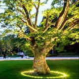 Valeris | LED Tree Uplight with 360° Ground Ring Design and IP65 Rating for Garden and Landscape