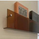 Evi | Acrylic Wall-Mounted Magazine and Book Shelf for Living Room, Office and Hallway Display