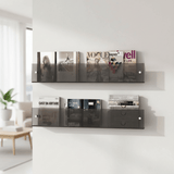 Evi | Acrylic Wall-Mounted Magazine and Book Shelf for Living Room, Office and Hallway Display